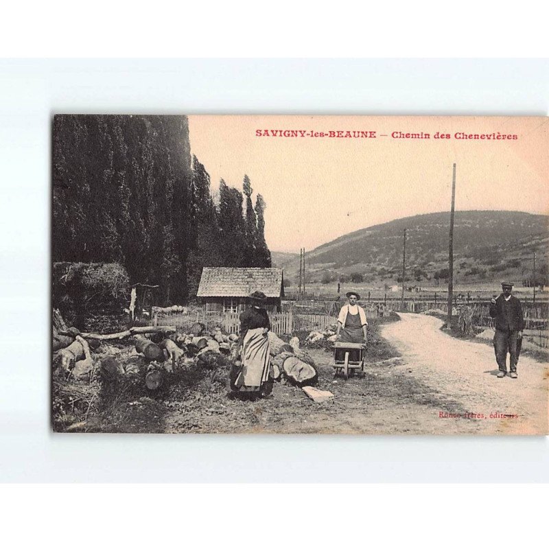 SAVIGNY LES BEAUNE : Chemin des Chenevières - très bon état SAVIGNY LES BEAUNE : Chemin des Chenevières - très bon état
