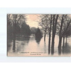 BESANCON : Inondations de 1910, Promenade Micaud - très bon état