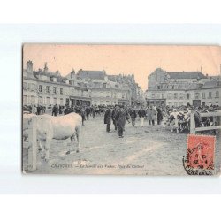 CHARTRES : Le marché aux vaches, place du Châtelet - état