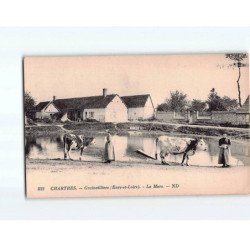 CHARTRES : Grainvilliers, la Mare - très bon état