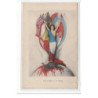 KIRCHNER Raphaël : carte postale patriotique ww1 "pour le droit et la liberté" - (P-1) - très bon état