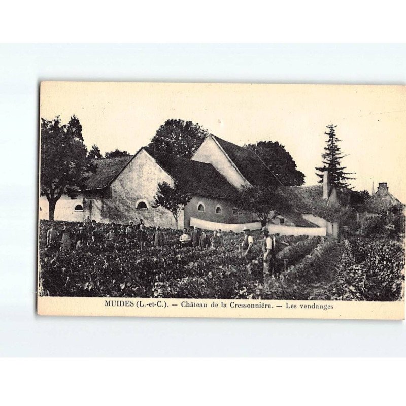 MUIDES : Château de la Cressonnière, les Vendanges - très bon état MUIDES : Château de la Cressonnière, les Vendanges - très bon état