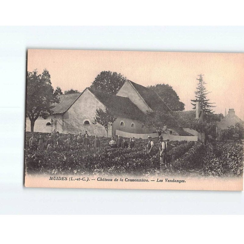 MUIDES : Château de la Cressonnières, les Vendanges - très bon état