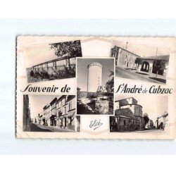 SAINT ANDRE DE CUBZAC : Carte Souvenir - état