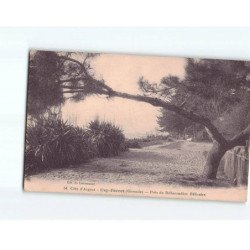 CAP FERRET : Près du Débarcadère Bélisaire - état
