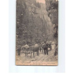 Route du Villard de Lans à Pont en Royans, les Gorges de la Bourne - état