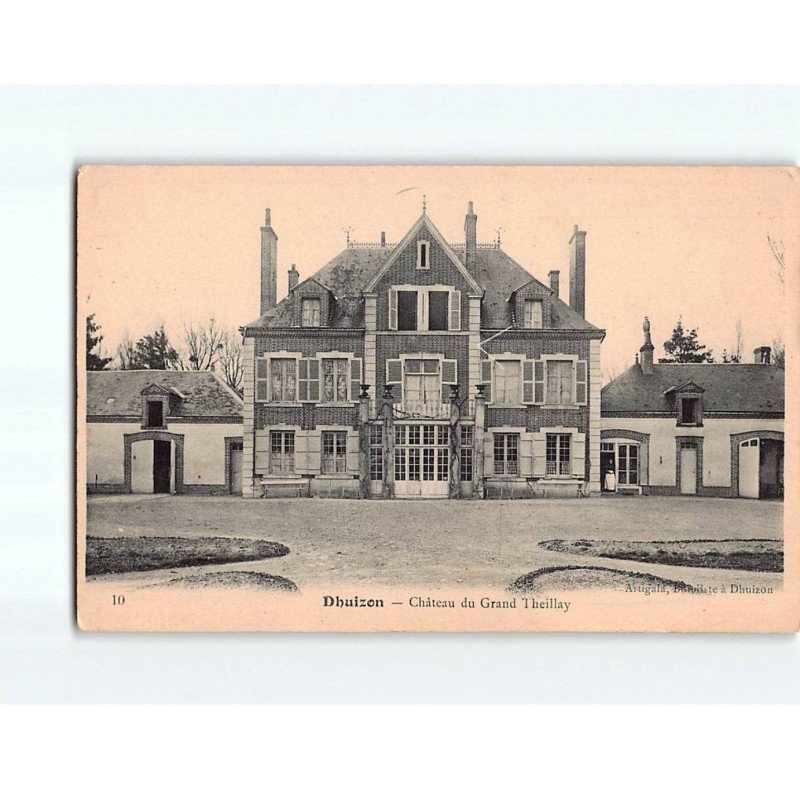 DHUIZON : Château du Grand Theillay - état