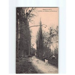 PEZOU : L'Allée du Château de Chicheray - état