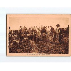 QUINEVILLE : Sur le rocher Baveskien - très bon état