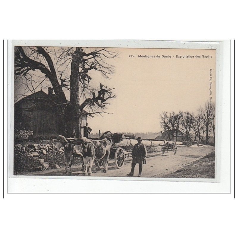 MONTAGNES DU DOUBS - Exploitation des Sapins - très bon état