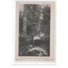 VILLIERS SOUS CHALAMONT - Dans la Forêt de Sapins - BÛCHERONS - état