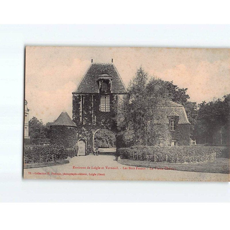 Les bois Francs, le vieux Château - état