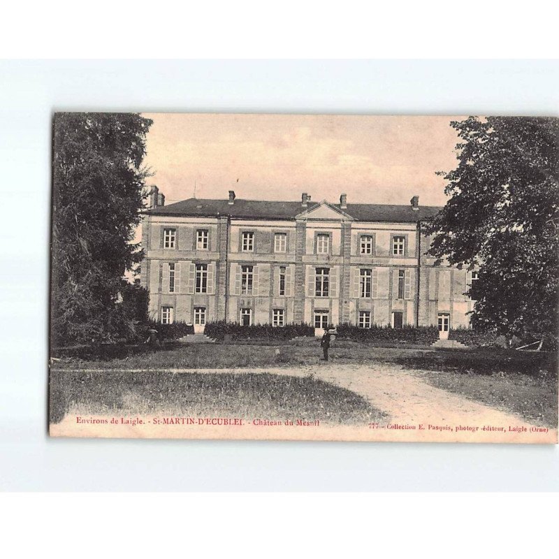 SAINT MARTIN D'ECUBLEI : Château du Mesnil - très bon état
