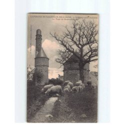 JUVIGNY SOUS AUDAINE : La tour de Bonvouloir - état