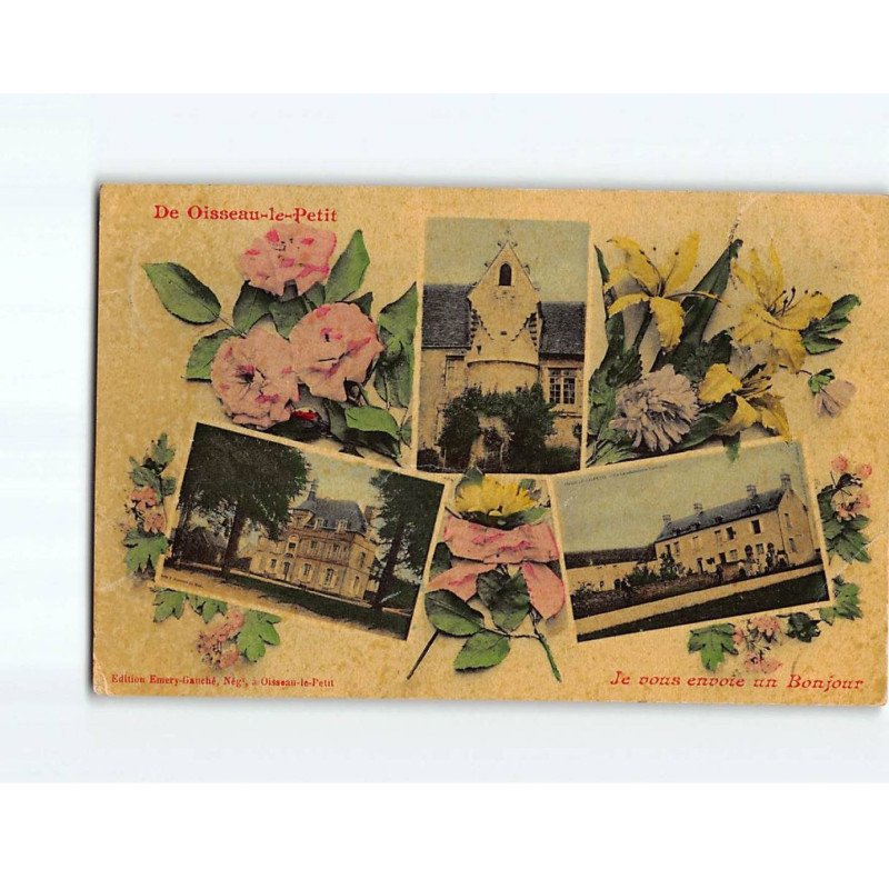 OISSEAU LE PETIT : Carte Souvenir - état