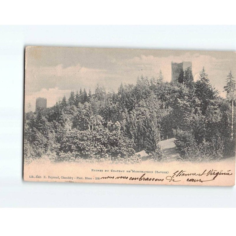 Ruines du Château de Montmayeur - état