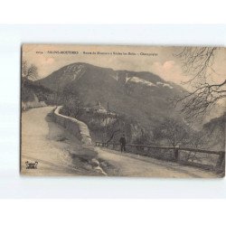 SALINS MOUTIERS : Route de Moutiers à Brides-les-Bains, Champoulet - état