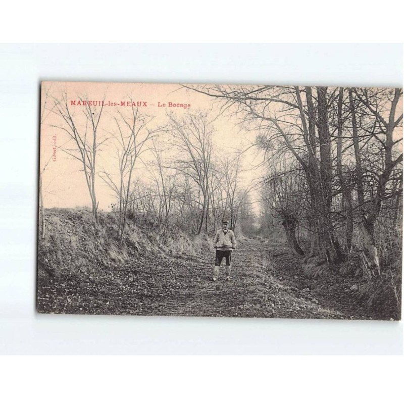 MAREUIL LES MEAUX : Le Bocage - état