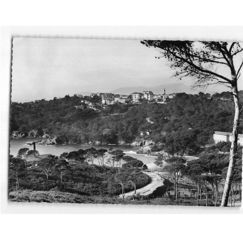 Presqu'ile de GIENS : Vue générale - état