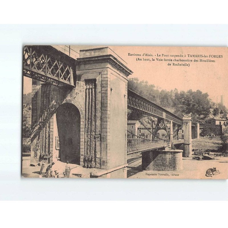 TAMARIS LES FORGES : Le pont suspendu - état