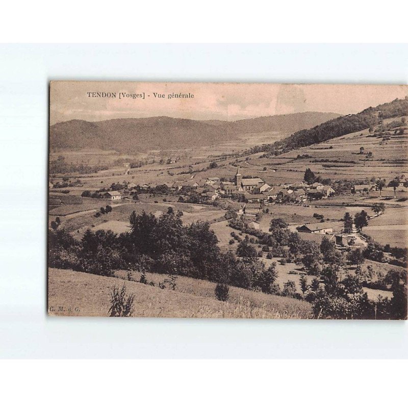 TENDON : Vue générale - état