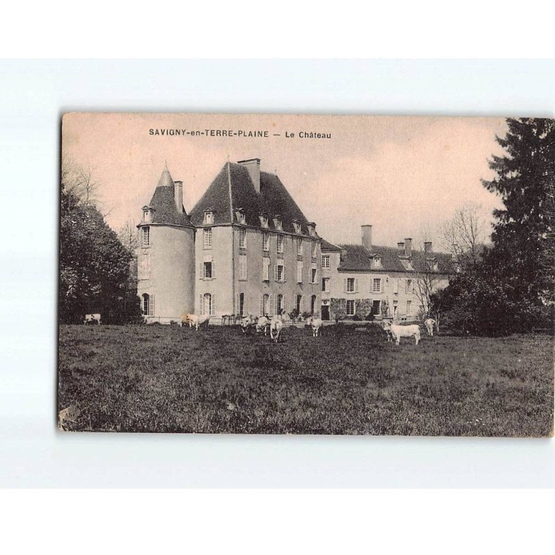 SAVIGNY EN TERRE PLAINE : Le Château - état