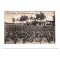 CHATEAUB BARCIO : plantation - tres bon état