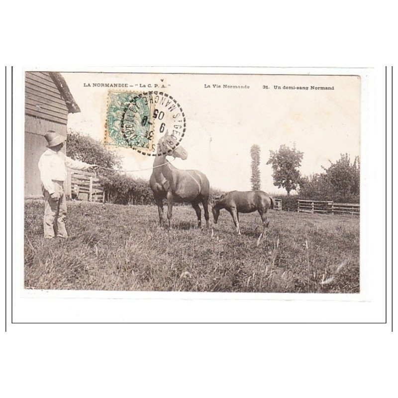 LA NORMANDIE : la vie normande (chevaux) - tres bon état