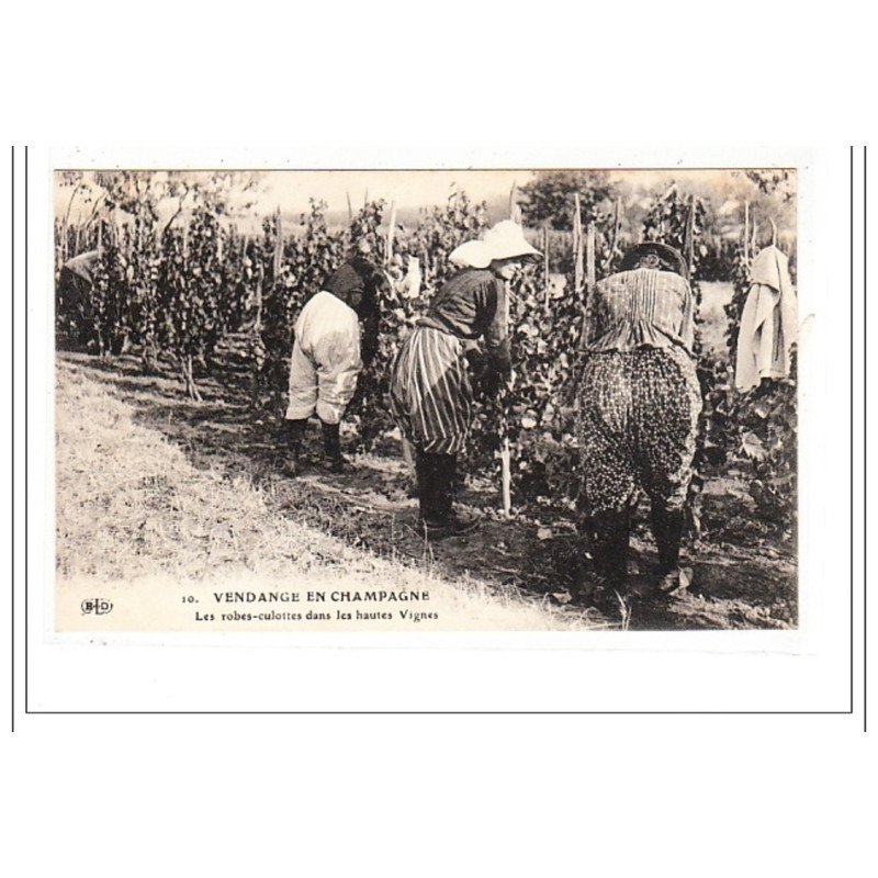 CHAMPAGNE : les robes-culottes dans les hautes vignes - tres bon état