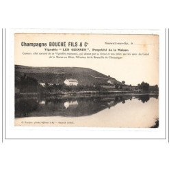 CHAMPAGNE : vignoble """"LES GOISSES"""", propriété de la maison - tres bon état