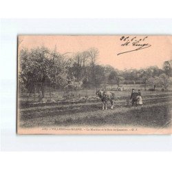 VILLIERS SUR MARNE : La Mortière et le Bois de Gaumont - état