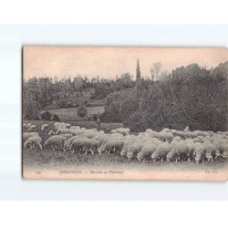 ORMESSON : Moutons au Pâturage - très bon état
