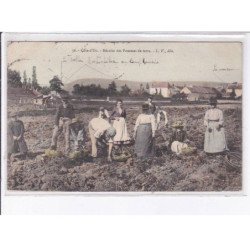 DIJON: récolte des pommes de terre - très bon état