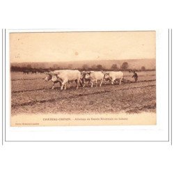 CHATEAU-CHINON : attelage de boeufs nivernais au labour - état