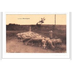 WIRWIGNES : la plaine - tres bon etat