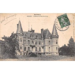 Château de Truscat près de Sarzeau - état