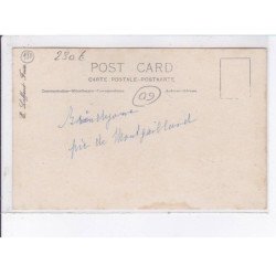 FOIX: en plein vol, 1912, aviation ( Marcel Brindejonc des Moulinais ) - très bon état