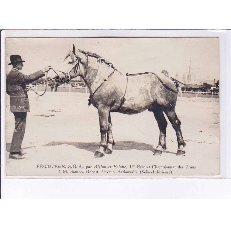 ARDOUVALLE : "Fricoteur" par Aiglon et Belotte - concours de chevaux - très bon état ARDOUVALLE : "Fricoteur" par Aiglon et Belotte - concours de chevaux - très bon état