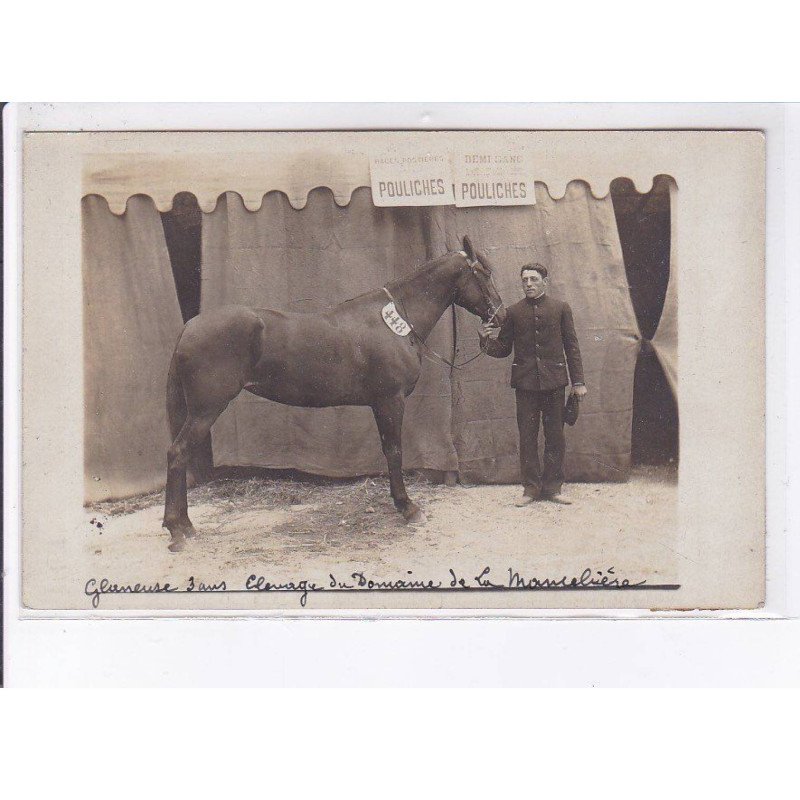 BAGUER PICAN : domaine de la Mancelière - concours de chevaux (pouliches) - très bon état