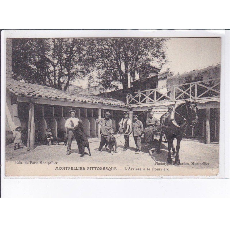 MONTPELLIER: l'arrivée à la fourrière - état