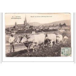 AUTUN : boeufs au labour (champ chevras) - etat