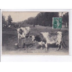 BERNESQ: darier donnant la pâture, agriculture - très bon état