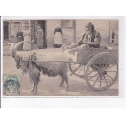 ROCHEFORT-sur-LOIRE: auto nouveau modèle, attelage de bouc - très bon état