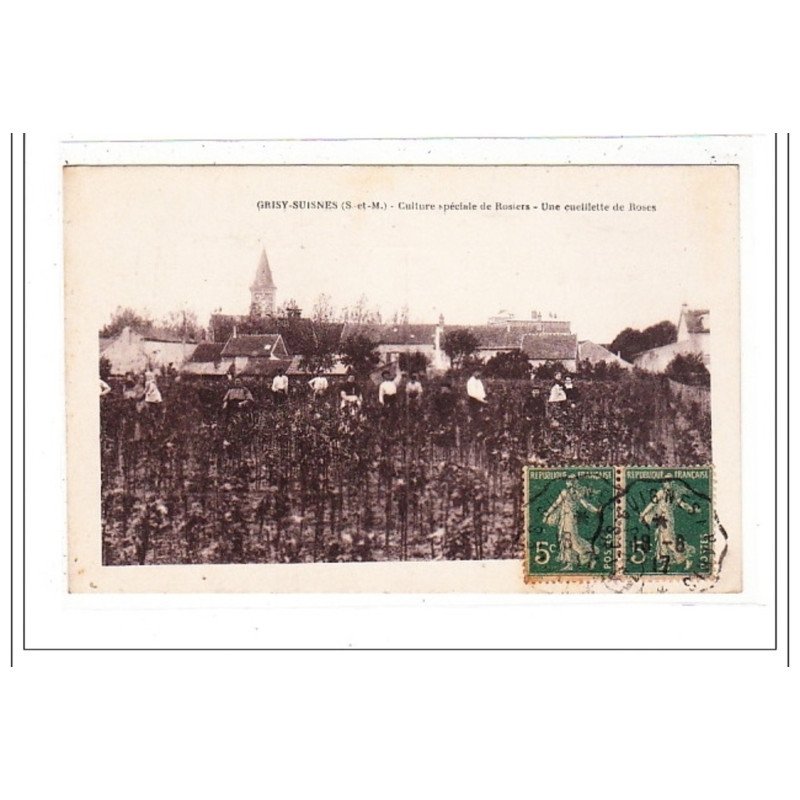 GRISY-SUISNES : culture speciale de rosiers - une cueilette de roses - tres bon etat