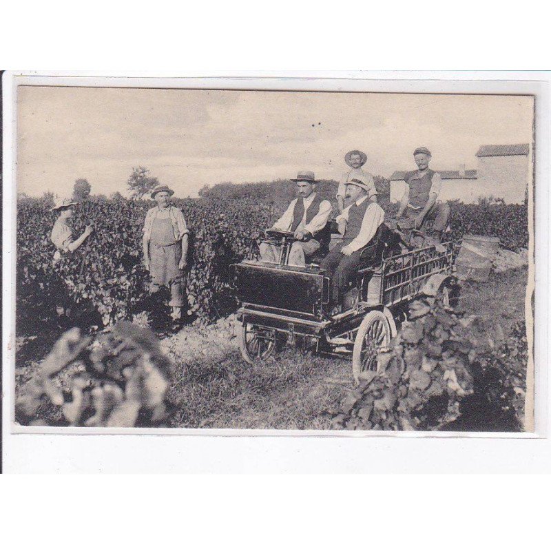 environs de VILLEFRANCHE SUR SAONE: vendanges - très bon état
