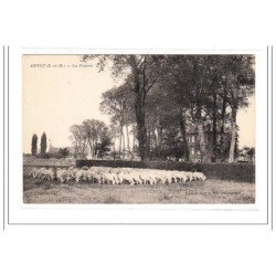 ANNET : la prairie - tres bon etat