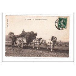 AUX CHAMPS : la rentée des fourrages - etat