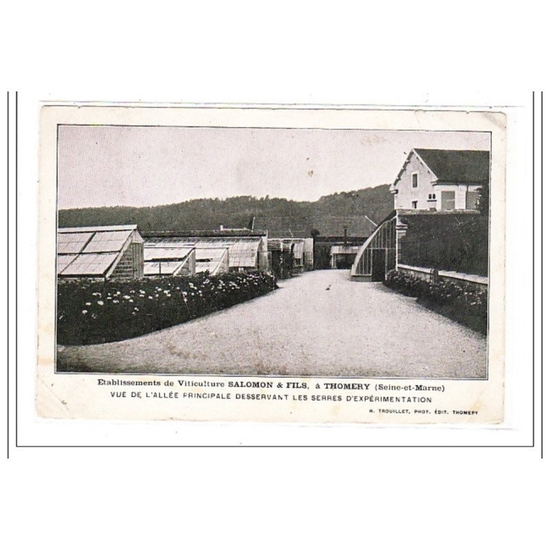 THOMERY : etablissement de viticulture SALOMON & FILS - etat