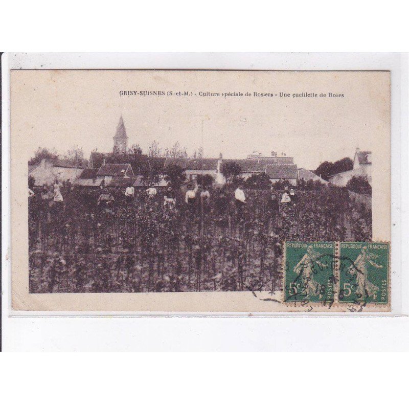 GRISY-SUISNES: culture spéciale de rosiers, une cueillette de roses - état GRISY-SUISNES: culture spéciale de rosiers, une cueillette de roses - état