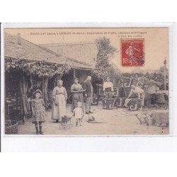 LOUHANS: gaudillat jeune, exportation de fruits, légumes et primeurs - très bon état